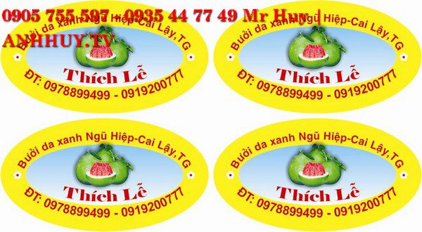 in nhanh đà nẵng anh huy tv LH 0935 44 77 49 - 0905755597 ANHHUY.TV