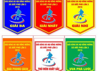 cờ lưu niệm bóng chuyền tại Đà Nẵng giá rẻ