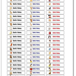 In sticker tên cho bé dán lên dung cụ học tập giá rẻ tại Đà Nẵng 0935447749